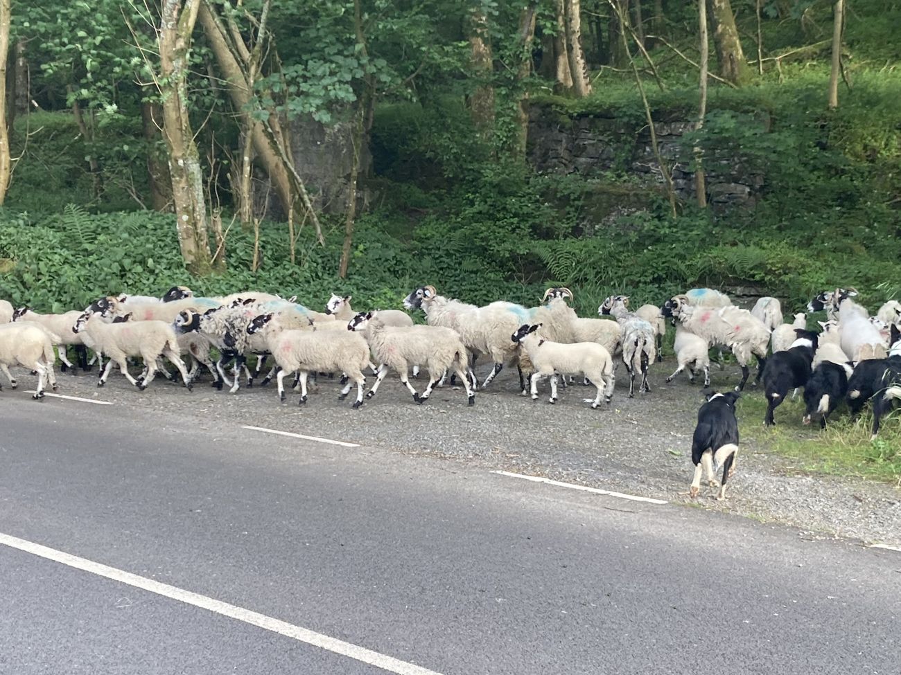 View of the Yorkshire Dales landscape